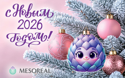 С Новым годом 2026 MESOREAL